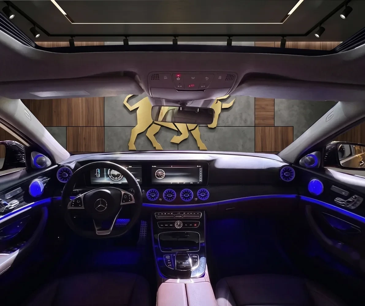 Mercedes-Benz E300 W213 corporate rental in Baku Azerbaijan